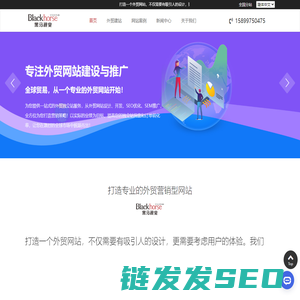 外贸网站建设