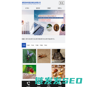 绵阳灭老鼠