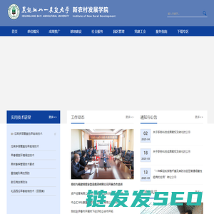 新农村发展学院
