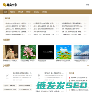 蜂窝文章网