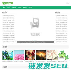 快鸟文章网