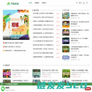 柑橘新品种