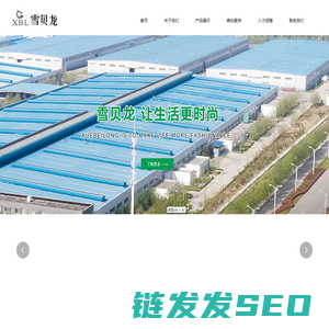 青岛雪贝龙生活电器有限公司,天然气壁挂炉,集成灶.天然气热水器