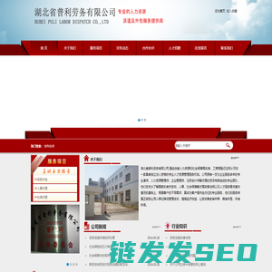 湖北省普利劳务有限公司