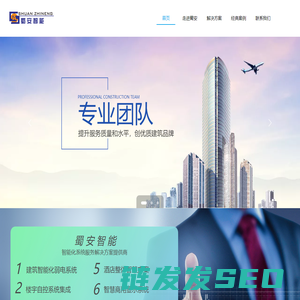 智能化系统服务解决方案提供商