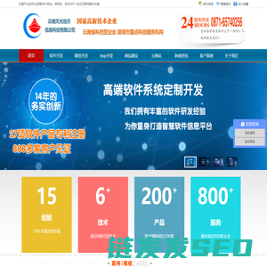 软件开发