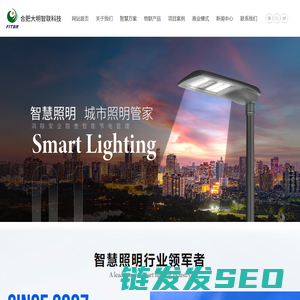 合肥大明智联科技股份有限公司