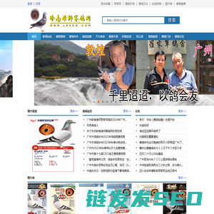岭南雄狮赛鸽网