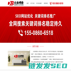 大标网络丨专业SEO优化公司