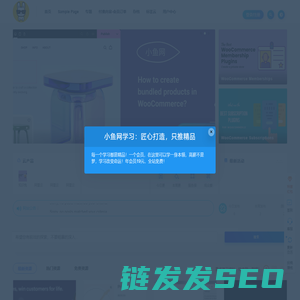 小鱼网