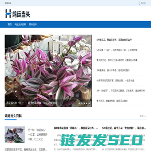 鸿运当头