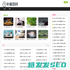 补脑百科