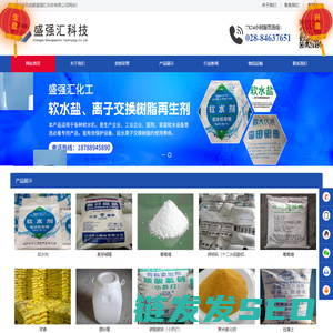 成都盛强汇科技有限公司