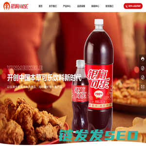 银梅饮料