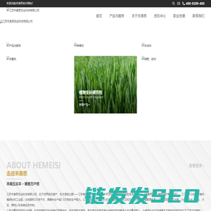 蓝湖