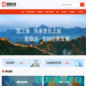 国新咨询
