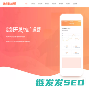 网站优化,网络服务,网络推广公司
