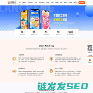 专业网站开发