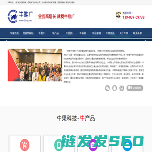 牛推广模式