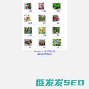 中药药用价值网