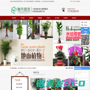 西安绿植租摆