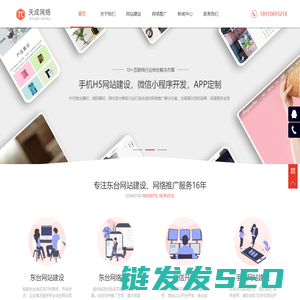 东台网络推广