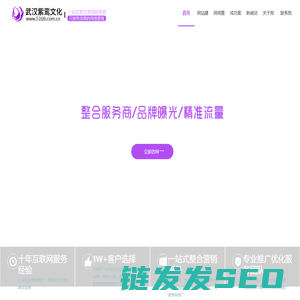武汉网站建设