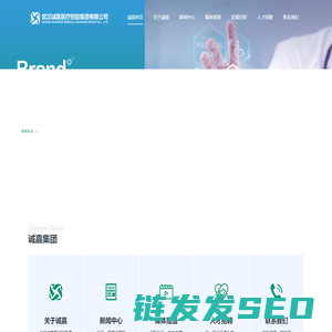 武汉诚嘉医疗控股集团有限公司