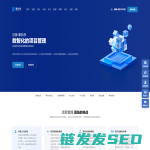 数智化项目管理系统