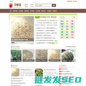 学种菜网