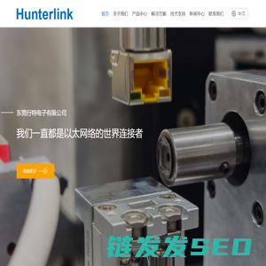 东莞行特电子有限公司