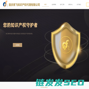 重庆青飞知识产权代理有限公司