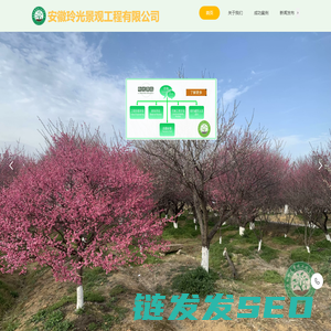 安徽玲光景观工程有限公司
