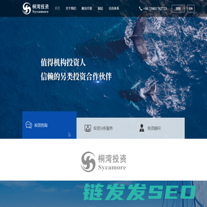 桐湾投资管理咨询（上海）有限公司
