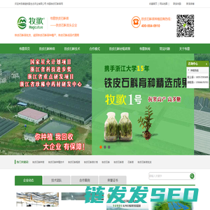 铁皮石斛种植基地