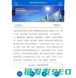 聚酯成型网