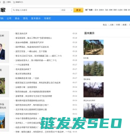 苗木中国网