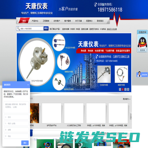 武汉天康仪表有限公司