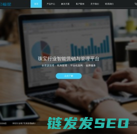 珠宝管理软件,珠宝软件,珠宝会员管理,珠宝财务管理【世纪福星】功能好