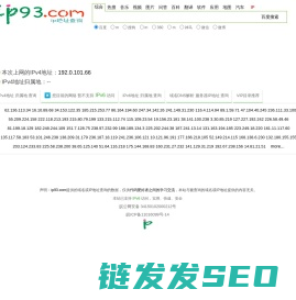 域名/IPv4/IPv6