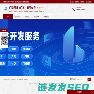 系统开发