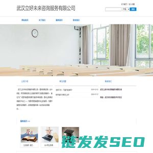 武汉立好未来咨询服务有限公司