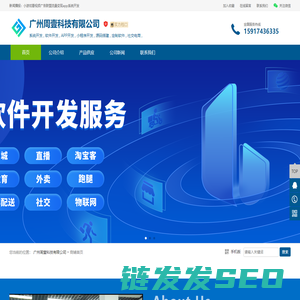 广州软件开发公司实体开发技术团队