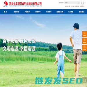 湖北省宏源药业科技股份有限公司