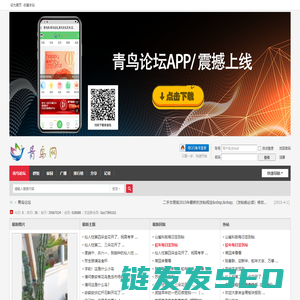 青鸟网