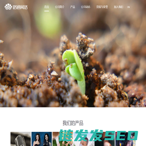 路通网络