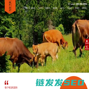 潮牛海记