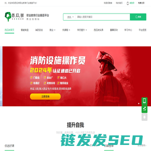 西瓜树