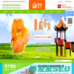 湖北咸蛋黄,咸蛋黄批发,咸蛋黄厂家,湖北省楚怡生物科技有限公司