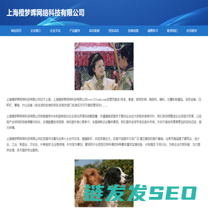 上海橙梦晖网络科技有限公司